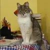Отзыв от Анна Парфенова